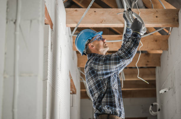 Best Electric Panel Repair  in Martinsburg, PA